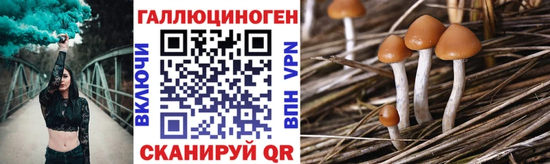Купить закладки  Краснозаводск  Галлюциногенные грибы Cubensis 